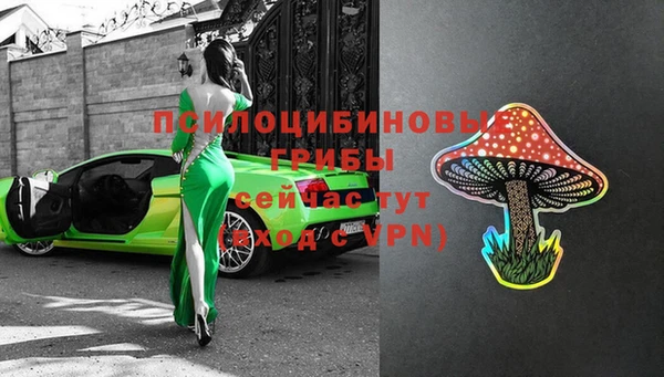 бутират Переславль-Залесский