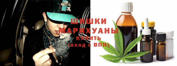 индика Аркадак