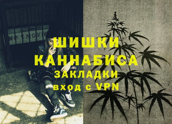 индика Аркадак