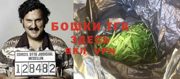 индика Аркадак