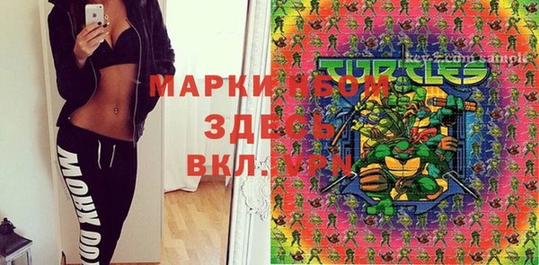 прущие крисы Пересвет
